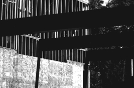 ElizaStConst-Nkmt35mm.jpg
