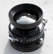 sinaronSE210-04.jpg