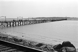 2023-03-25-0008.jpg