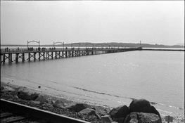2023-03-25-0015.jpg