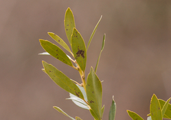 CF099897b.jpg