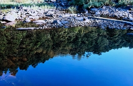 E85266E7-AC9E-4C1D-BF7E-C094DE66D676.jpeg