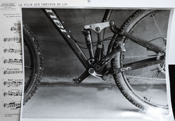 bike11x14.jpg
