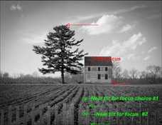 tilt focus.jpg