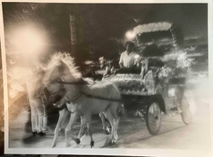 Screenshot 2023-04-11 at 08.41.43.jpg