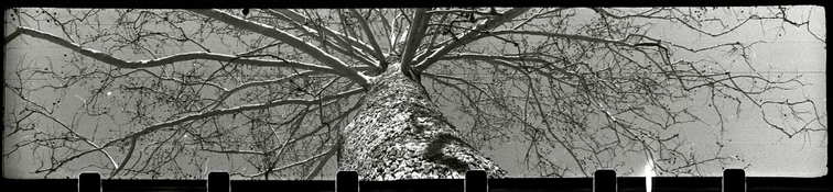 v16_xx_22.jpg