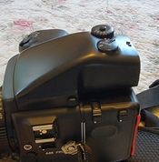 20230413_083342.jpg