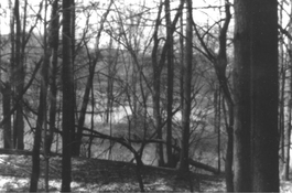 Down to pond.jpeg