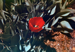 Image 2.jpg Image 2.jpg