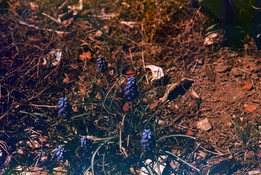 Image 15.jpg Image 15.jpg