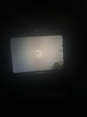 IMG_3181.jpeg