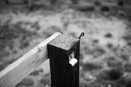 85F77807-D28F-4176-A79B-E204FB1DF4D8.jpeg