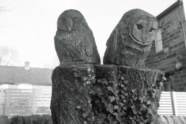 silsden_13.jpg