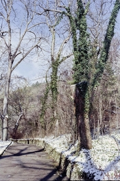 white-balace-corrected-.jpg