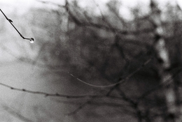 SW06_21.JPG