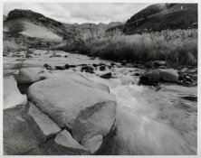 DSC_1667_DxO_Small.jpg DSC_1667_DxO_Small.jpg