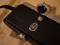 P1010165.JPG