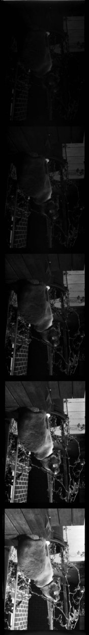 img024.jpg