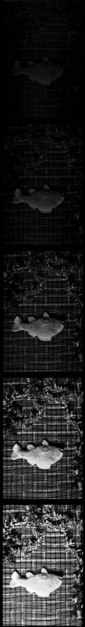 img025.jpg