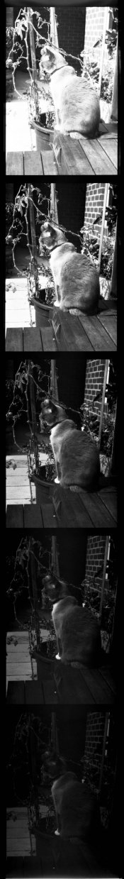 img024.jpg