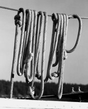 ropes_02.jpg