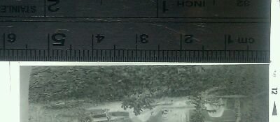 Mamiya C330f film frame size 57X56mm.jpg