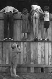 photo_fence.jpg