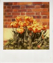 SCAN005.jpg