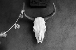 SkullPentax.jpg SkullPentax.jpg