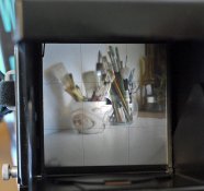 _1020593 web.jpg