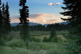 Condon Montana July2006_9858.jpg