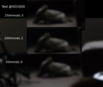 test_3FOVs.jpg