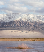 img307-Edit-3.jpg