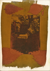 52962847978_eb09158e12_k.jpg