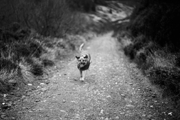 000017-9a0f8.jpg
