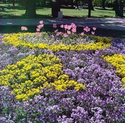 mcph008b.jpg