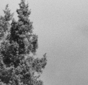 BW00346_01 detail 1.jpg