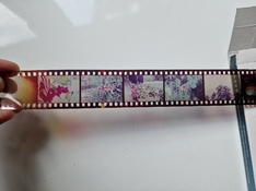 20230616_190833.jpg