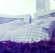 ye009.jpg