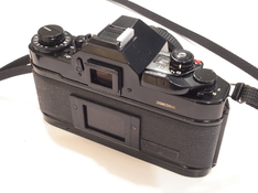 R1115630.JPG
