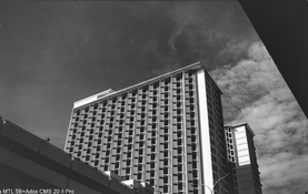 DSCF7114.jpg