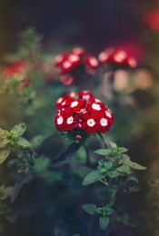 photo (2).jpg