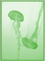 Screenshot from 2023-07-02 13-19-07.png