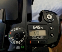 PXL_20230703_195151049.jpg