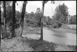 2023-07-09-0003.jpg
