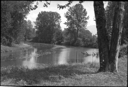 2023-07-09-0004.jpg