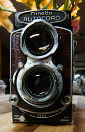 DSC06442.JPG