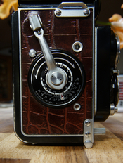 DSC06445.JPG