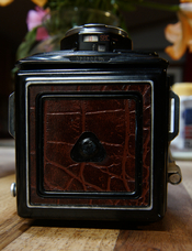 DSC06444.JPG