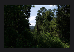 IMG_3091.jpeg